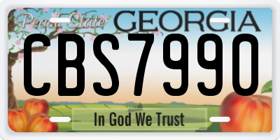 GA license plate CBS7990