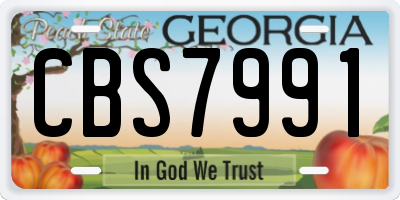 GA license plate CBS7991