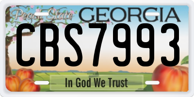 GA license plate CBS7993
