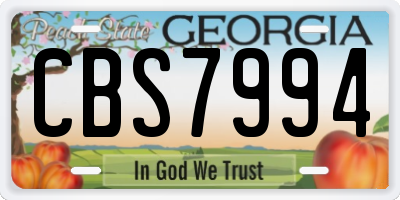 GA license plate CBS7994