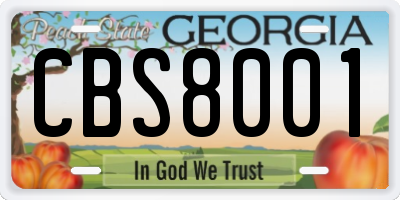 GA license plate CBS8001