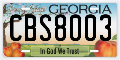 GA license plate CBS8003