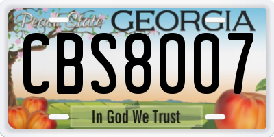 GA license plate CBS8007