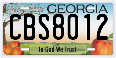 GA license plate CBS8012