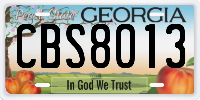GA license plate CBS8013