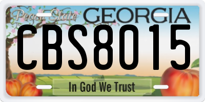 GA license plate CBS8015