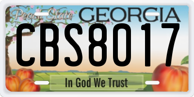 GA license plate CBS8017