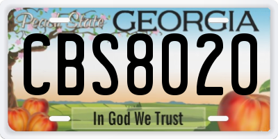 GA license plate CBS8020