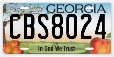 GA license plate CBS8024
