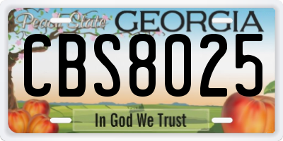 GA license plate CBS8025