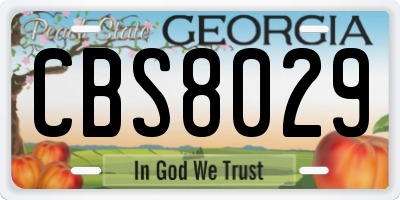 GA license plate CBS8029