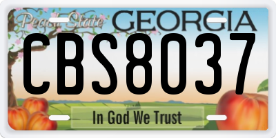 GA license plate CBS8037