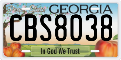 GA license plate CBS8038