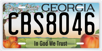 GA license plate CBS8046