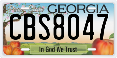 GA license plate CBS8047