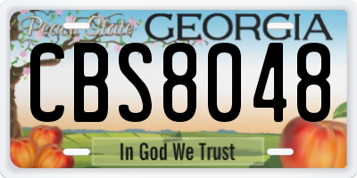 GA license plate CBS8048