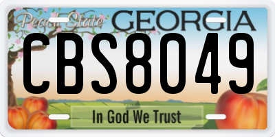 GA license plate CBS8049