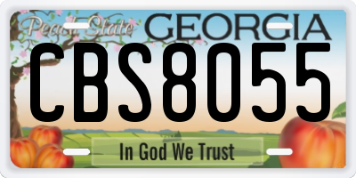 GA license plate CBS8055