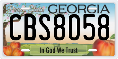 GA license plate CBS8058