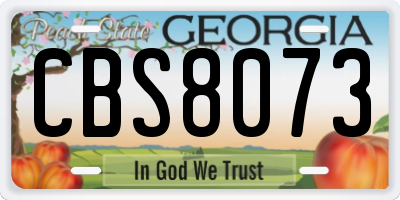 GA license plate CBS8073