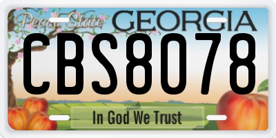 GA license plate CBS8078