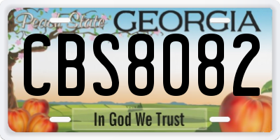 GA license plate CBS8082