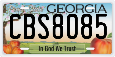 GA license plate CBS8085