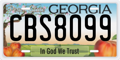 GA license plate CBS8099