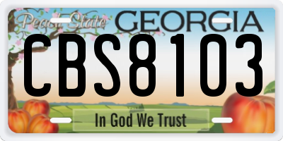 GA license plate CBS8103