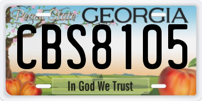 GA license plate CBS8105