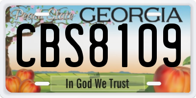GA license plate CBS8109