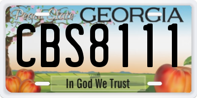 GA license plate CBS8111
