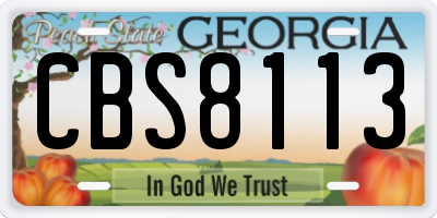 GA license plate CBS8113