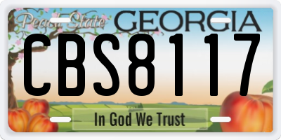 GA license plate CBS8117