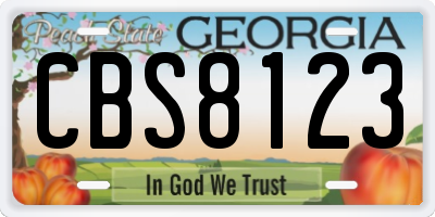 GA license plate CBS8123