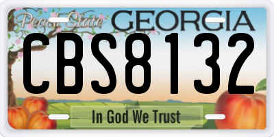 GA license plate CBS8132