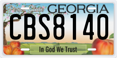 GA license plate CBS8140