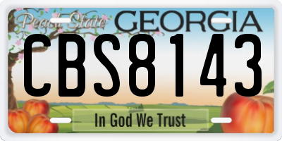 GA license plate CBS8143