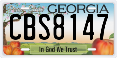 GA license plate CBS8147