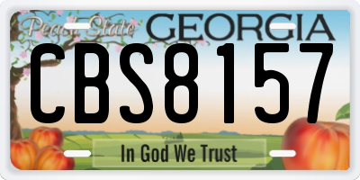 GA license plate CBS8157
