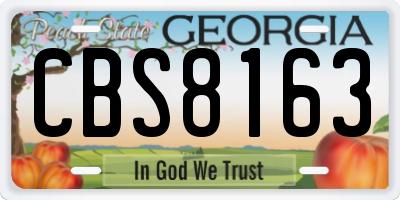 GA license plate CBS8163