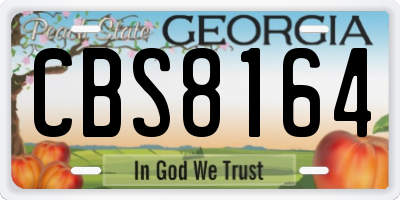 GA license plate CBS8164