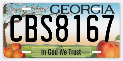 GA license plate CBS8167