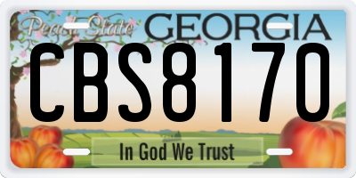 GA license plate CBS8170