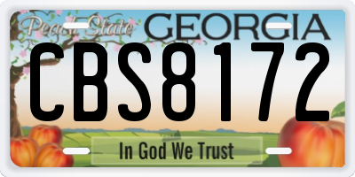 GA license plate CBS8172