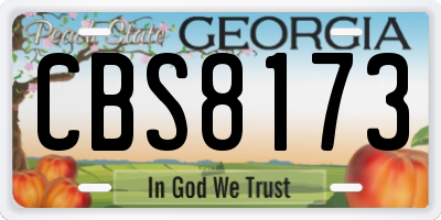 GA license plate CBS8173