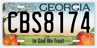 GA license plate CBS8174
