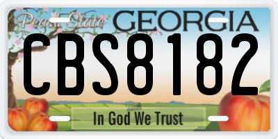 GA license plate CBS8182