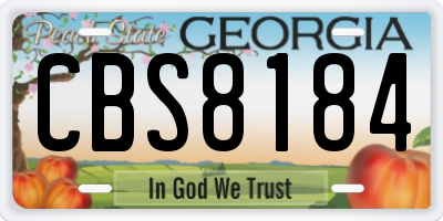 GA license plate CBS8184