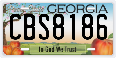 GA license plate CBS8186